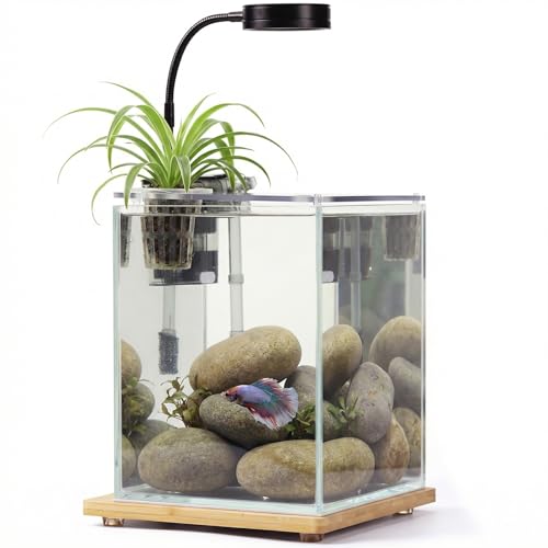 2.5 Gallon Nano Aquarium Kit with Bamboo-Base LED Light, Hanging Filter & Hydroponic-Ready Lid – Ideal for Betta, Shrimp, or Aquatic Plants
