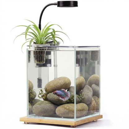 2.5 Gallon Nano Aquarium Kit with Bamboo-Base LED Light, Hanging Filter & Hydroponic-Ready Lid – Ideal for Betta, Shrimp, or Aquatic Plants