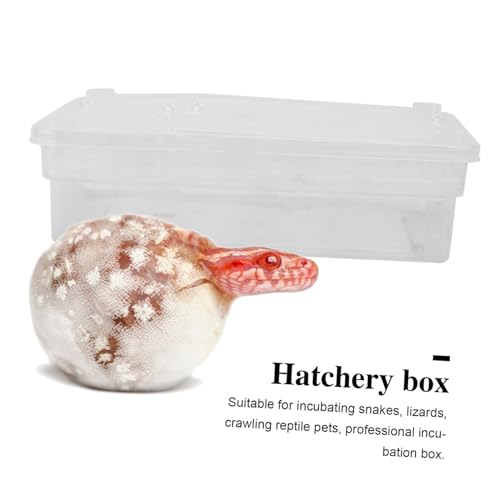 UPKOCH 20grids Practical Hatching Box for Reptile Eggs Design for Easy Monitoring Incubator for Snakes Lizards and Turtles Lightweight and Easy to Clean