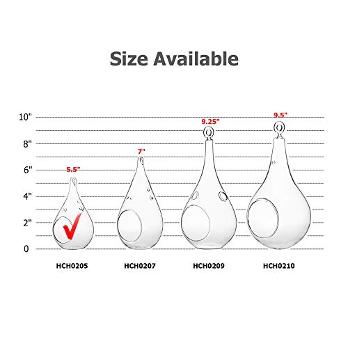 WGV Glass Hanging Plant Terrarium Bulk, Width 3", Height 5.5", Teardrop DIY Air Succulent Planter Clear Tea Light Votive Candle Holder, Wedding Event Office Home Outdoor Decor, 3 Pieces