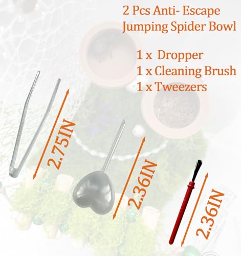 2 Pcs Anti- Escape Jumping Spider Food Bowl with Magnet Water Feeder Bowls Mini Reptile Feeder for Jumping Spider, Gecko etc, Round