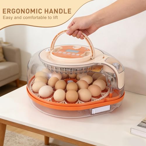 Series V-Fully Automatic 26 Egg Incubator, Spill-Proof Bottle-Free Water System, Precise Sensor-Based Humidity & Temp Control, Adjustable Auto Egg Turn, Preset Incubation Days (26-Egg-Orange) - size: 26-Egg-Orange