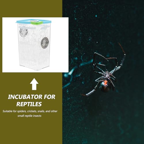 Jumping Spider Enclosure and Small Reptile Habitat Box, Plastic Feeding Terrarium for Frogs, Turtles, Bearded Dragons, and Chameleons, Compact Micro Vivarium for Home and Office