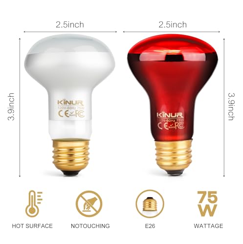 KINUR 2 Pack 75W Reptile Heat Lamp Bulbs, Reptile Day and Night Basking Spot Bulb Combo Amphibian Infrared Heat Lamp Bulb/UVA Basking Spot Daylight Heating Light Bulb - color: White 1pcs+red 1 Pack