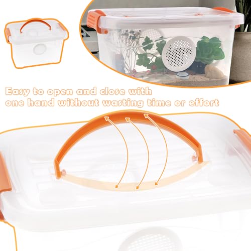Reptile Feeding Box Snake Plastic Transparent Breeding Box Hatching Container for Small Reptile Bearded Gecko Dragon Lizard Spider Frog Scorpion (11 x 7.8 x 6.7 Inch)