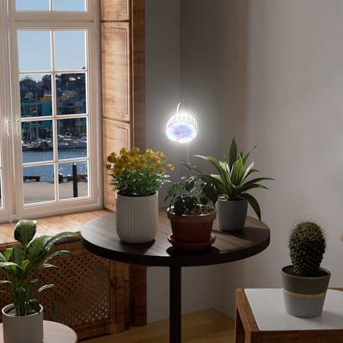 Grow Light,24W (160Watts Equiv) 5000K White Full Spectrum LED Growing Lamp Clip on Desk for Indoor Plants,Bulbs Replaceable & Non-dimmable (Black, 80W) - size: 80W