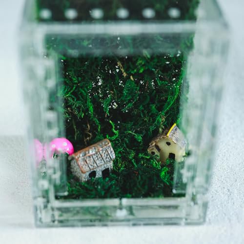 Acrylic Jumping Spider Enclosure -Clear Reptile Habitat Box for Tarantula, Mantis, Insects, Snail, Frog, Caterpillar – Ventilated Mini Terrarium Display Case with Lock Lid & Feeding Port