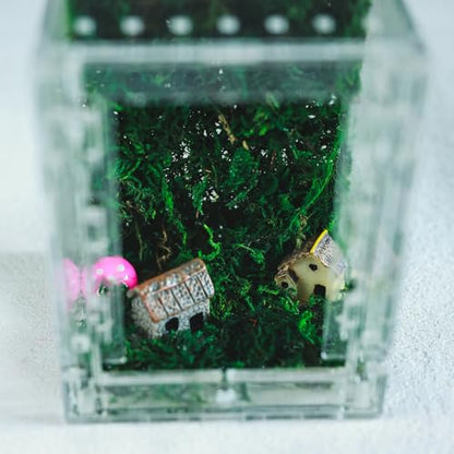 Acrylic Jumping Spider Enclosure -Clear Reptile Habitat Box for Tarantula, Mantis, Insects, Snail, Frog, Caterpillar – Ventilated Mini Terrarium Display Case with Lock Lid & Feeding Port