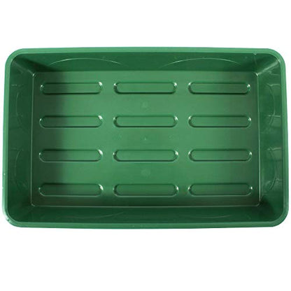 93763 Medium Seed and Herb Domed Propagator with Vented Side Height Extension, Green - size: Medium with 1 Height Extender