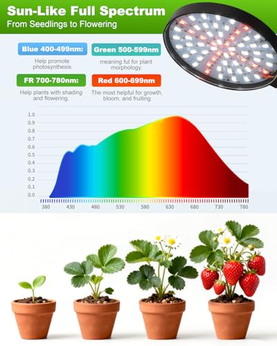 Grow Lights for Indoor Plants Full Spectrum, Clip On Plant Light with Timer 4/8/12/18H, Adjustable Gooseneck, 5 Dimming Levels, LED Grow Lamp for Houseplants - size: 3.6-inch Dual Head