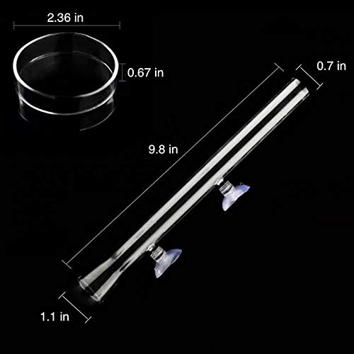 Shrimp Feeding Tube and Dish,Clear Crystal Glass Shrimp Feeder Tube Tray for Fish Tank Aquarium Shrimp (10") - size: 10" + 1 Tray