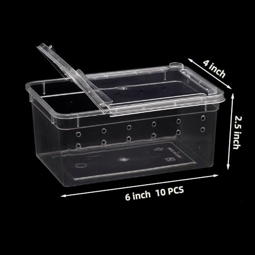 10 Pcs Reptile Feeding Boxs, Plastic Spider Terrariums Breeding Box Feeder Insect Container Feeding Box for Small Reptile Bearded Dragon Lizard Spider Gecko Scorpion 5.9 x 3.9 x 2.5 in