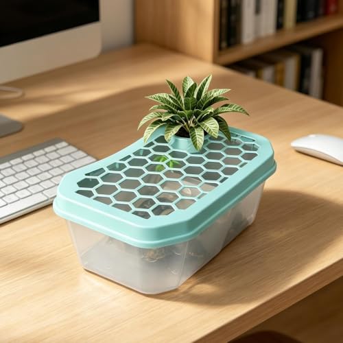 Turtle Aquarium Aquatic Reptile Terrarium | Small Turtle Tank for Living Room Basking Tortoise Crayfish Hermit Crabs Frog Reptile Desktop Home Breeding