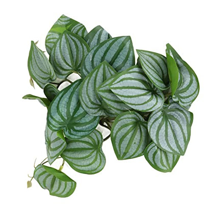 Artificial Reptile Plants with Suction Cups, Watermelon Leaves & Vines for Terrarium, Plastic Climbing Plants for Reptile Tank Decor, Habitat Accessories for Lizards/Chameleons
