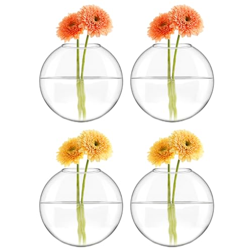 Mkono Wall Propagation Planters, 4 Pack Oblate Hanging Plant Holder Vase | Glass Terrariums Station, Hydroponic Indoor Flowers, Excludes Plants, Bathroom Living Room Office Decor, Gift for Plant Lover