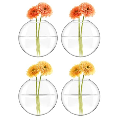 Mkono Wall Propagation Planters, 4 Pack Oblate Hanging Plant Holder Vase | Glass Terrariums Station, Hydroponic Indoor Flowers, Excludes Plants, Bathroom Living Room Office Decor, Gift for Plant Lover
