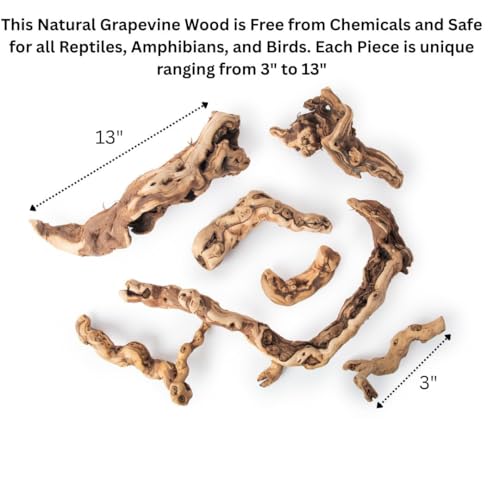 Galápagos (05536) Burro Wood Grapevine Logs – Natural Branch Décor for Arid & Temperate Terrariums | Air Plant Display Wood & Reptile Habitat, Set of 7 Assorted Pieces (3” – 13”)