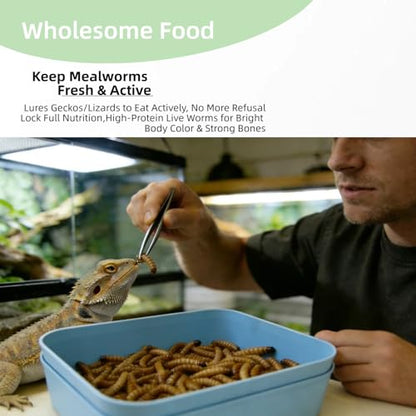 Mealworm Breeding Kit, Live Feeder Worm Farm for Reptiles, Bearded Dragons, Leopard Geckos, Birds & Chickens (M) - size: M