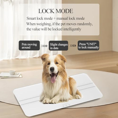 Digital Pet Scale Measuring Range 0.45lbs-220lbs Digital Pet Scale for Small-Medium Dogs/Large Cat Dog Scale is not Suitable for Large Dogs (White) - color: white