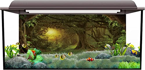 72x24 in Forest Terrarium Backdrop Green Tree Reptile Habitat Background | AWERT Dim Old Trees Psychedelic Woodland Rainforest Aquarium Vinyl Background - size: 72x24in/180x60cm