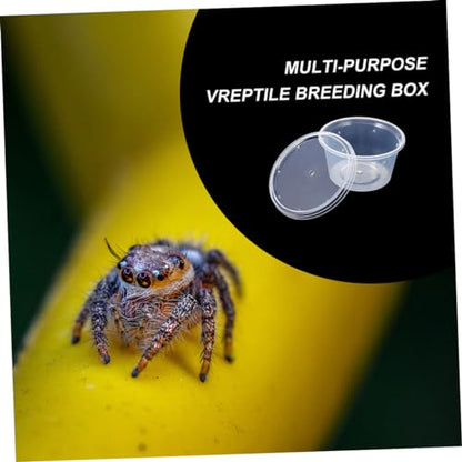 POPETPOP 10pcs Reptile Breeding Box Lightweight and Feeding Container for Snakes Turtles Spiders and Lizards Habitat for Easy Observation and Care