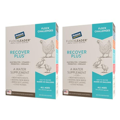 Recover Plus Moderate Stress Probiotic Water Supplement for Chickens with Electrolytes & Oregano, 8 oz (Pack of 2) - size: 8 Ounce (Pack of 2), style: Recover Plus
