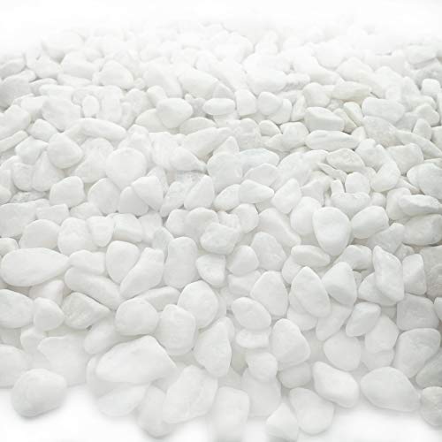 Aquarium Decorative Sands White Gravel Pebbles, 2 Pounds | Fit for Aquariums, Succulent Plants, Terrarium Landscape