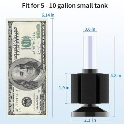 6.5 ft Aquarium Airline Tubing and Sponge Filter
