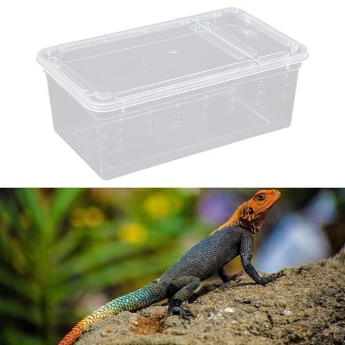 Reptile Feeding Box,Transparent Terrarium Habitat Cage Breeding Box Hatching Container for Gecko Animal Cricket Lizard, Style D - size: Style D