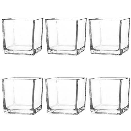 6 Pack Square Glass Vases 4" x 4" x 4", Clear Flower Vase | Candle Holder for Centerpieces, Wedding Party Home Decor - size: 4inch