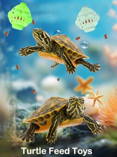 7 pcs Tortoise Treat Ball and Training Skateboard Toy Set Turtle Feeder Ball Funny Aquatic Turtle Enrichment Toys Aquarium Feed Toy Tortoise Feeding Balls Vegetable Grass for Small Animals