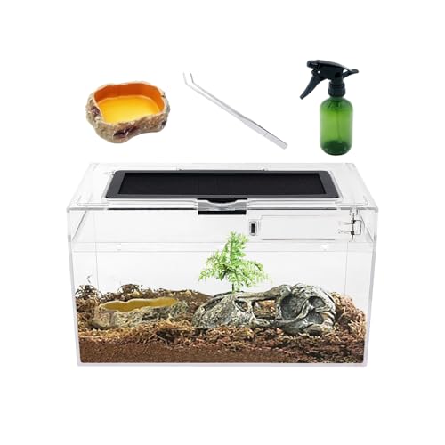 Mini Reptile Terrarium Set,11.8" x 7"x 6" Low Reptile Tank with Full View Visually Appealing，for Insect，Fish，Tarantula，Hermit Crab，Jumping Spider，Iguana，Tortoise，Leopard Gecko，Frog，Bearded Dragon - size: 11.8" x 7"x 6"