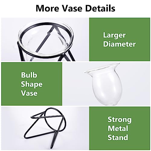 Jspupifip 3 Pcs Glass Plant Terrarium with Metal Stand | Air Plants Holders, Hydroponic Plant Vases, Desktop Bulb Glass Vase, Home Office Decor