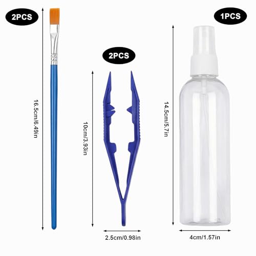 Jumping Spider Accessories Kit 5 Pcs,Spider Enclosure Starter Kit with Bottle,2 Soft Paint Brushes for Gentle Handling & 2 Plastic Feeding Tweezers for Care Tools