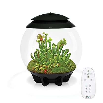 biOrb AIR 30, Automated Acrylic Terrarium for Desert or Tropical Plants, Black - color: Black