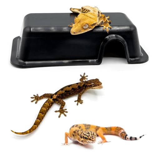 Pangea Reptile Hide Box, A - Mini 5.5"x3"x1.5" | Fits Most Standard Rack Units, Usable as Snake Tank Accessories, Good for Ball Python, Boas, Leopard Geckos, Kingsnake - size: A- Mini