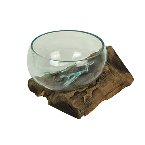Decorative Vase, 10 Inch Wide-Mouth Molten Glass on Teak Driftwood | Artisan-Crafted, Natural Finish, Serves as Sculptural Bowl, Planter, Terrarium, Or Centerpiece