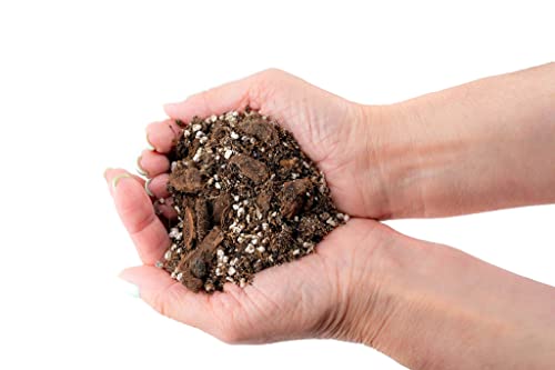 Premium Aroid Potting Mix - Soil Free Blend for Aroids - Growing Medium for House Plants by Gardenera - (3 Quart Bag) - color: AROID POTTING MIX, size: 3 Quart