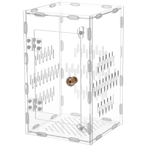 Acrylic Jumping Spider Enclosure, 5.9 x 5.9 x 9.8 in Clear Reptile Terrarium Enclosure with Secure Lock and Ventilated Holes, 360° Viewing Reptiles Habitat Tank Breeding Box for Spider Lizard