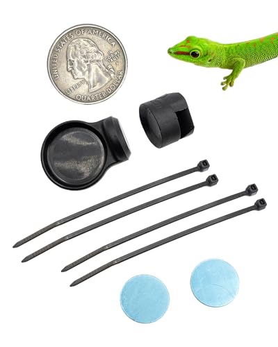 Pangea Microdish Kit for Micro Gecko Feeding, Water Bowl for Tiny Reptiles | Branch Mount, Zip Ties Included 1.5in x .75 in - size: S Branch Mount