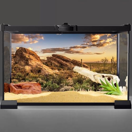 AWERT Reptile Habitat Background Blue Sky Oasis Cactus Sun and Desert Terrarium Background 48x20 inches Durable Polyester Background - size: 48x20 inches