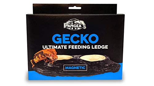 Pangea Reptile Ultimate Gecko Ledge & 100 1.5 oz Feeding Cups Bundle