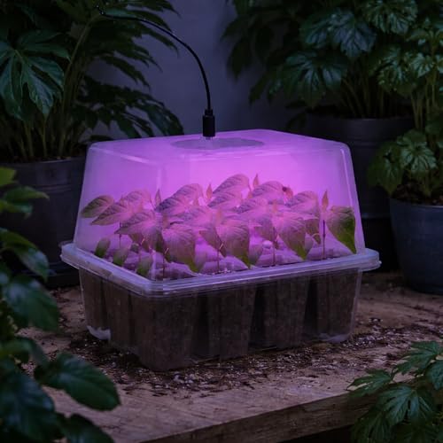 Seed Starter Trays with 12-LED Grow Lights, Clear, 5 Pack | 5 clear-base seedling kits, 60 cells, 12-LED grow light per tray, vented humidity domes, drainage holes, 1-to-5 USB cable - color: Clear, size: 5 Packs