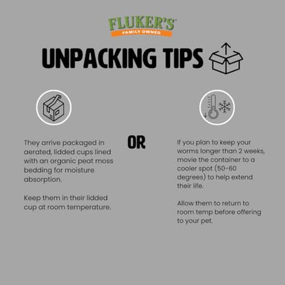Fluker's Medium Live Black Soldier Fly Larvae 1000 Count - Reptile and Chicken Food - size: 1000 Count (Pack of 1), style: Medium, 1/2"