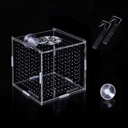 AWXZOM Acrylic Fish breeding Box, Acrylic Fish Isolation Box, Fish Separator for Aquarium, Hatchery Incubator with Suction Cups for Small Baby Fishes Shrimp Clownfish Guppy (3.9 * 3.9 * 3.9inch) - size: 3.9 * 3.9 * 3.9inch