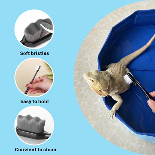 Foldable Bearded Dragon Bathtub with 2Pcs Reptile Mini Swimming Rings & Pump and 1Pcs Soft Brush, Bearded Dragon Accessories, Small Pet Bath Accessories (Blue) - color: Blue
