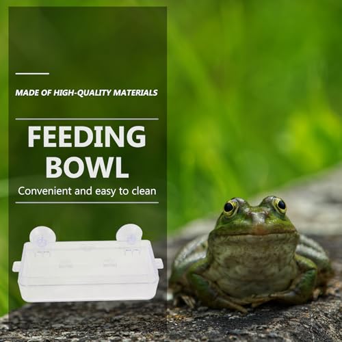 Beaupretty Reptile Feeder Bowl with Suction Cup Acrylic Anti-Escape Feeding Dish for Lizards Geckos and Small Reptiles Terrarium Water and Food Container