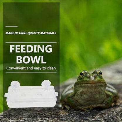 Beaupretty Reptile Feeder Bowl with Suction Cup Acrylic Anti-Escape Feeding Dish for Lizards Geckos and Small Reptiles Terrarium Water and Food Container