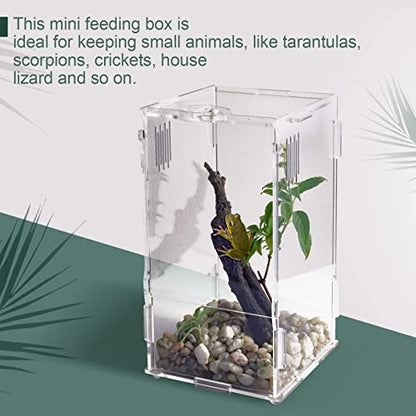 BETAZOOER Large Acrylic Reptile Tank Habitat Locking Terrarium 8''x6''x14'' - size: Large