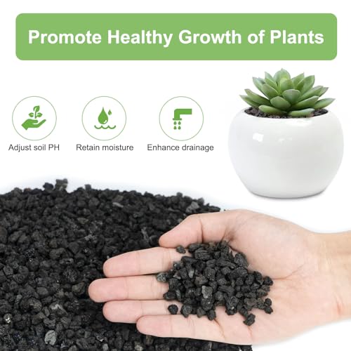 Pulovin 2.5lbs Lava Rocks for Plants, 1/5 Inch Black Gravel for Succulent, Cactus, Bonsai Tree, Pure Volcanic Rocks, Top-Dressing, Good Drainage - color: Black